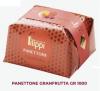 FILIPPI_PANETTONE_GRANFRUTTA